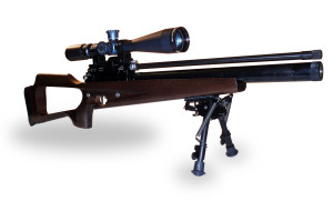 pcp gun