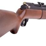 crosman benjamin 392 .22 sight