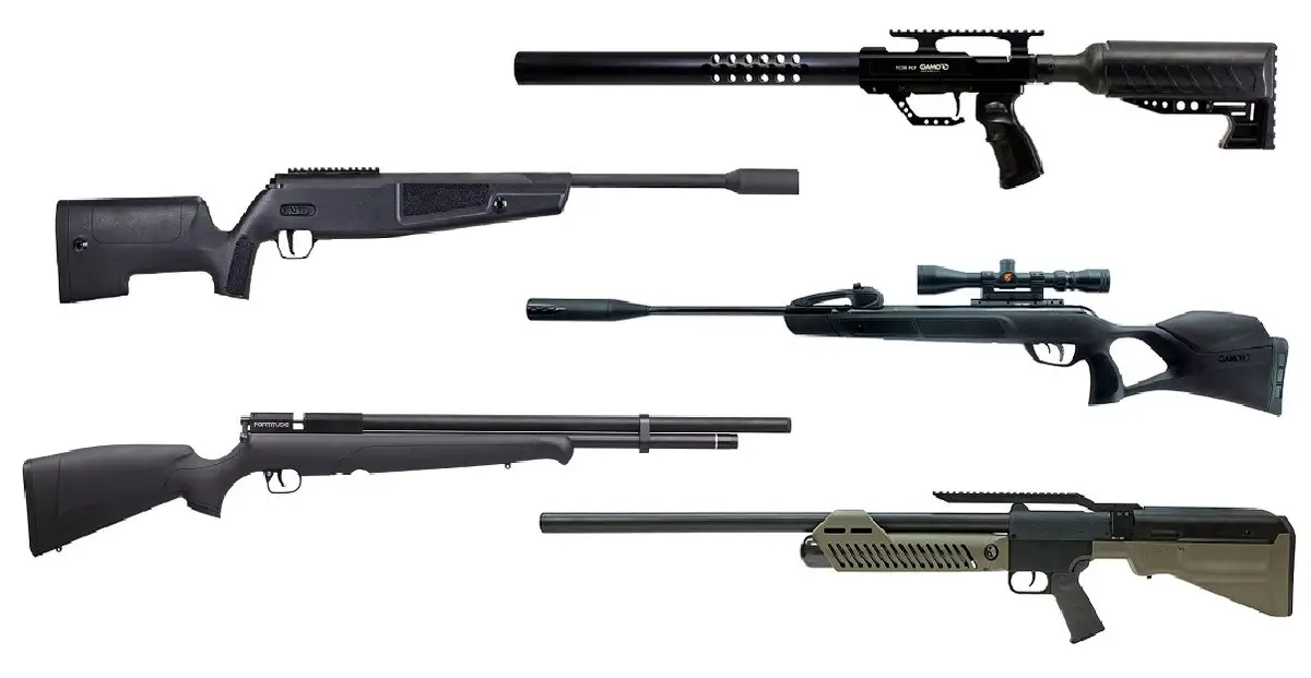 best air rifles for the money