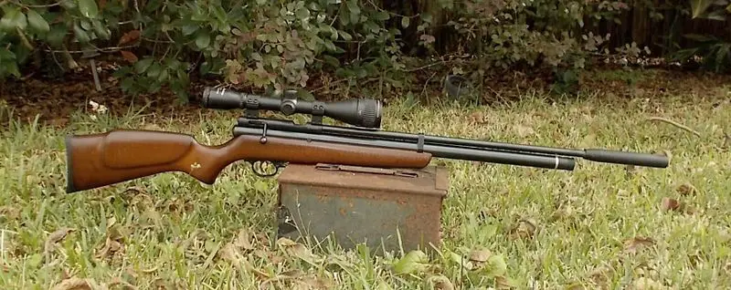 beeman qb chief air rifle