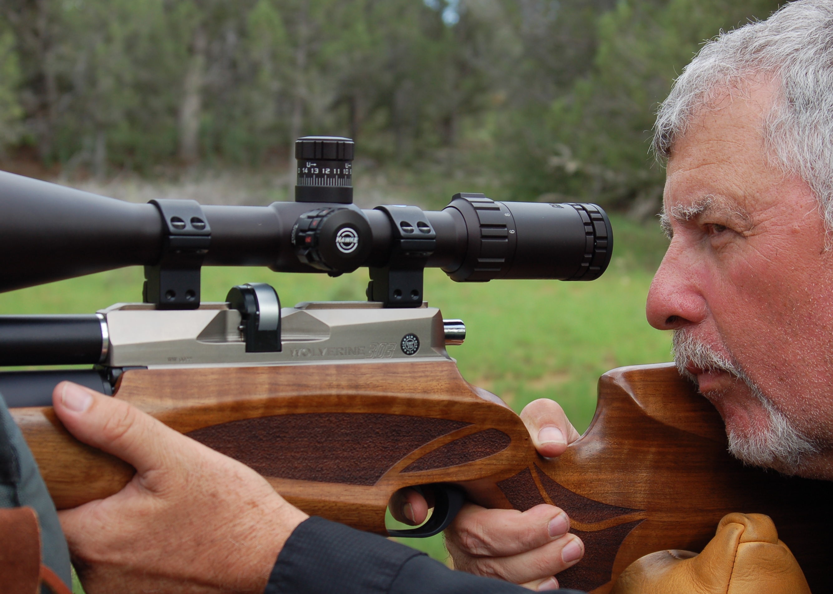 Best Air  Rifles  Under 500 Level Up Your Shooting  Skills 