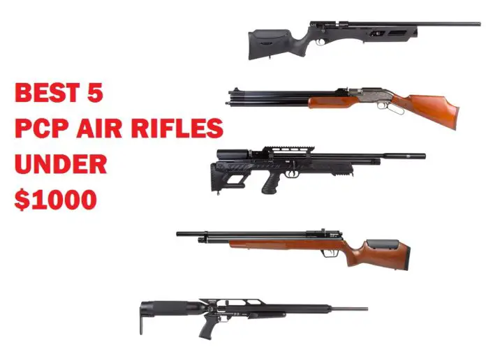 Best 5 PCP Air Rifles Under $1000