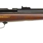 beeman qb chief – the best pcp air rifle 2020