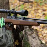 diana stormrider – best budget pcp air rifle 2020