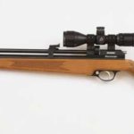 diana stormrider – the best pcp guns