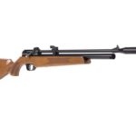 diana stormrider – the best pcp guns