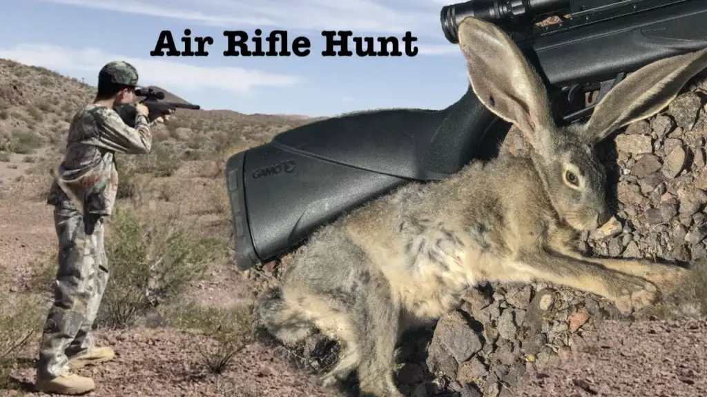 air 1 The Bunny Buster: Best Air Rifle For Rabbits (Reviews and Buying Guide 2021)