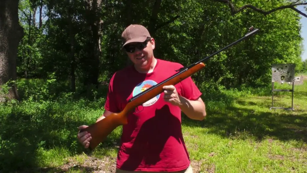 d11 2 Best Air Rifles for Hunting (Reviews and Buying Guide 2022)