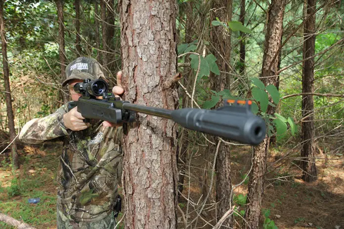 u1 Best Air Rifles Under $300 (Reviews and Buying Guide 2023)