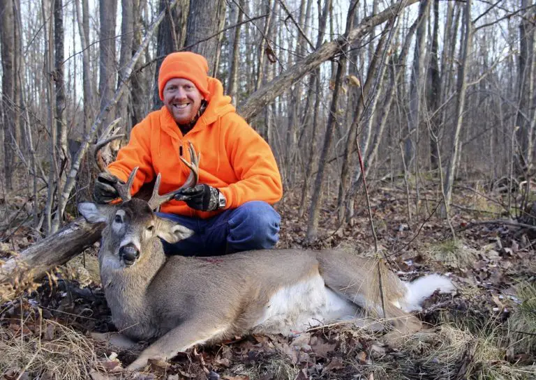 The Bone Collector: Best Air Rifles For Deer Hunting 2025 (Reviews & Buying Guide)