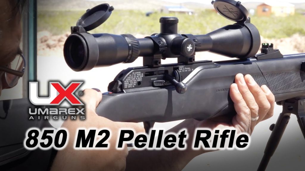 82 Best Air Rifles for Pest Control - Top 10 effective guns for the money (Reviews and Buying Guide 2023)