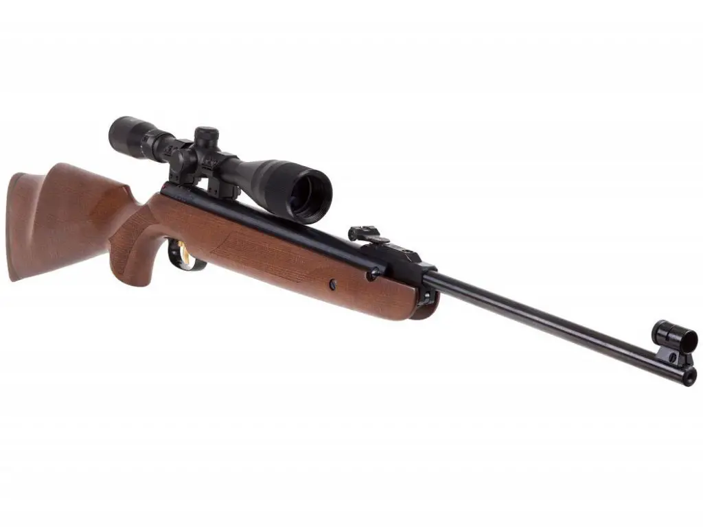 b5 Best Air Rifles for Pest Control - Top 10 effective guns for the money (Reviews and Buying Guide 2022)