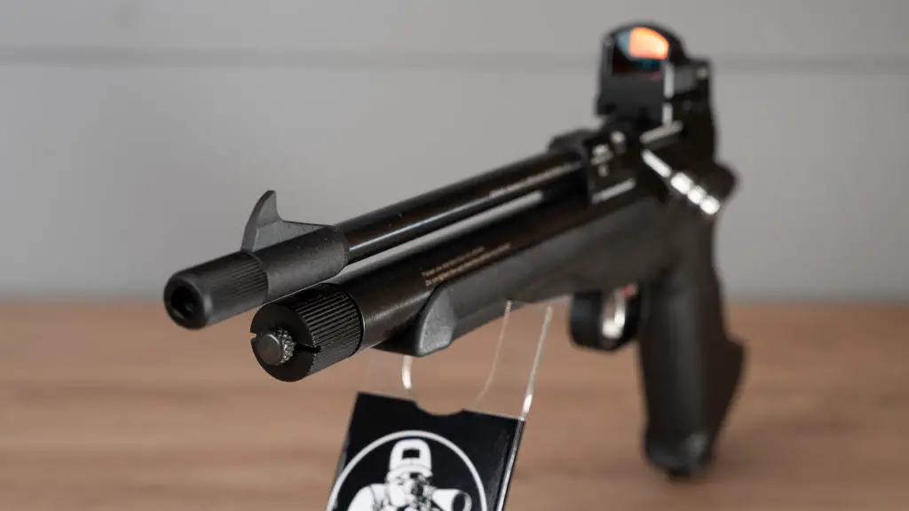d1 1 Best Air Rifles for Pest Control - Top 10 effective guns for the money (Reviews and Buying Guide 2023)