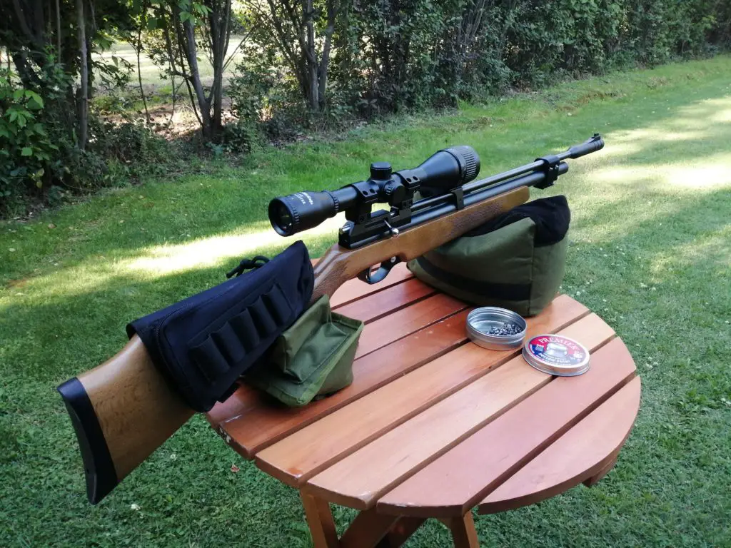 d33 Best Air Rifles for Pest Control - Top 10 effective guns for the money (Reviews and Buying Guide 2023)