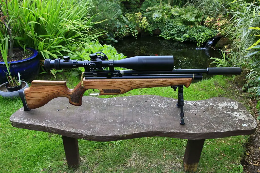 c11 Quietest Air Rifle - Top 23 Silent Guns for Hunting (Reviews and Buying Guide 2022)