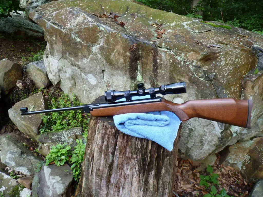 r3 Quietest Air Rifle - Top 23 Silent Guns for Hunting (Reviews and Buying Guide 2022)