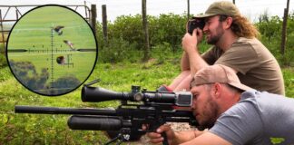 What can you hunt with a .22 air rifle? what-can-you-hunt-with-a-22-rifle