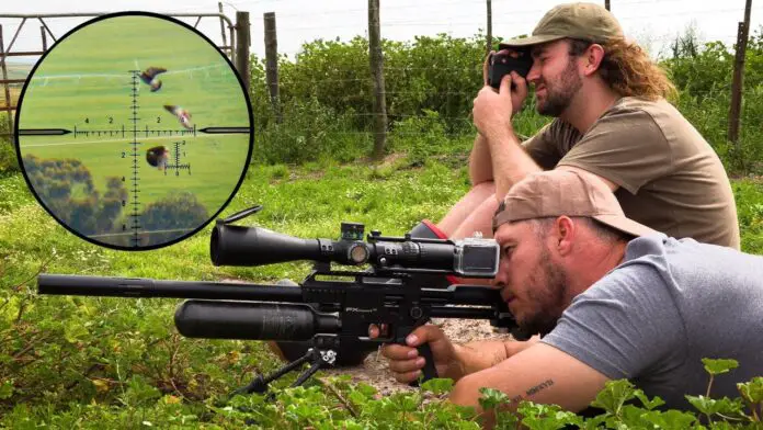 what-can-you-hunt-with-a-22-rifle