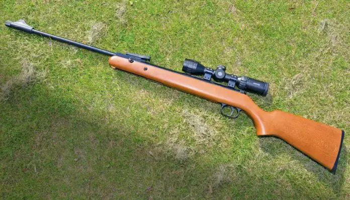 d1 2 What Air Rifles Are Made in Germany?