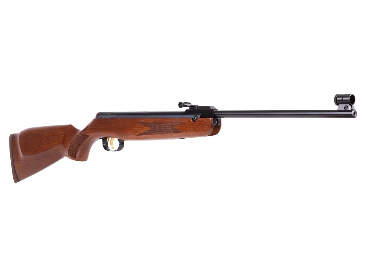 r7 Best Break Barrel Air Rifle That Hits Like A Champ (Reviews and Buying Guide 2023)