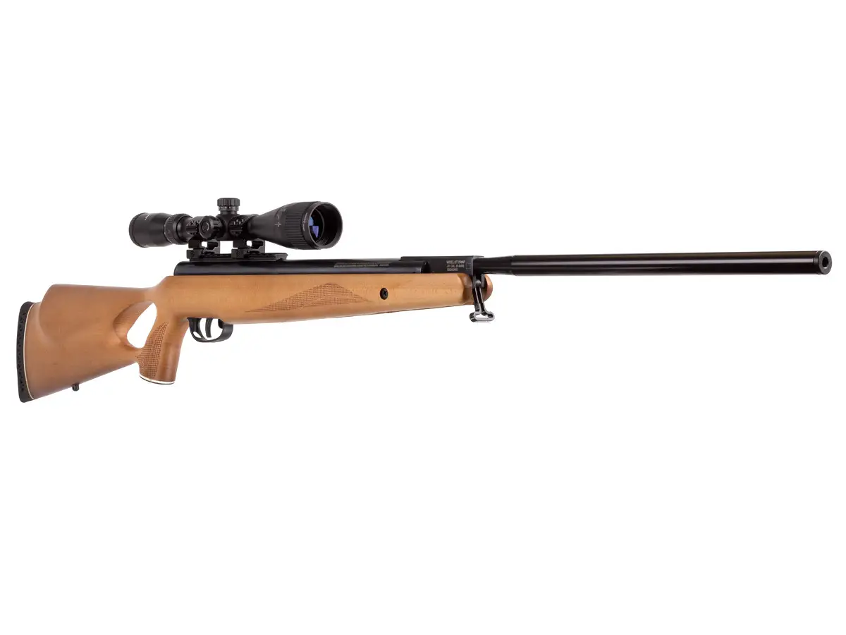 trail Best Break Barrel Air Rifle That Hits Like A Champ (Reviews and Buying Guide 2023)