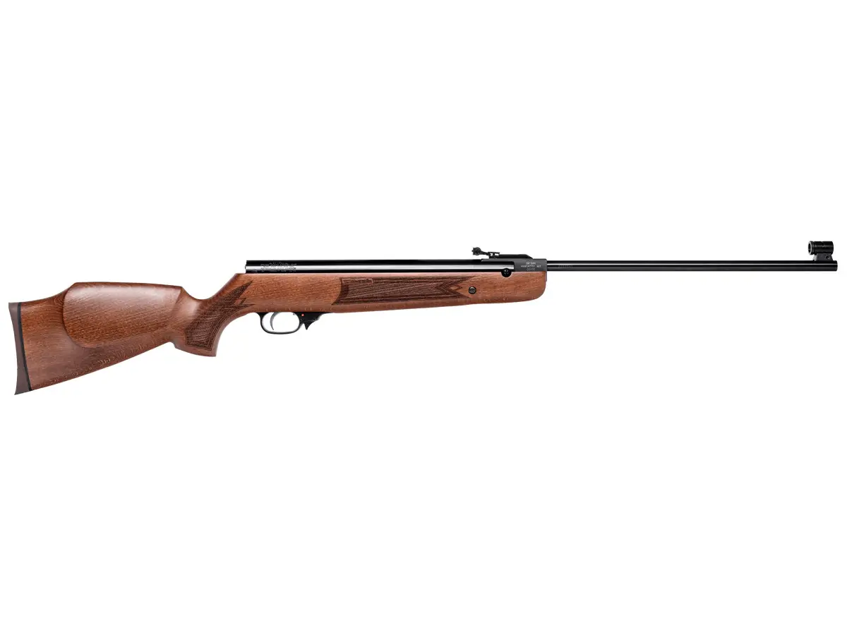 w1 Best Break Barrel Air Rifle That Hits Like A Champ (Reviews and Buying Guide 2023)