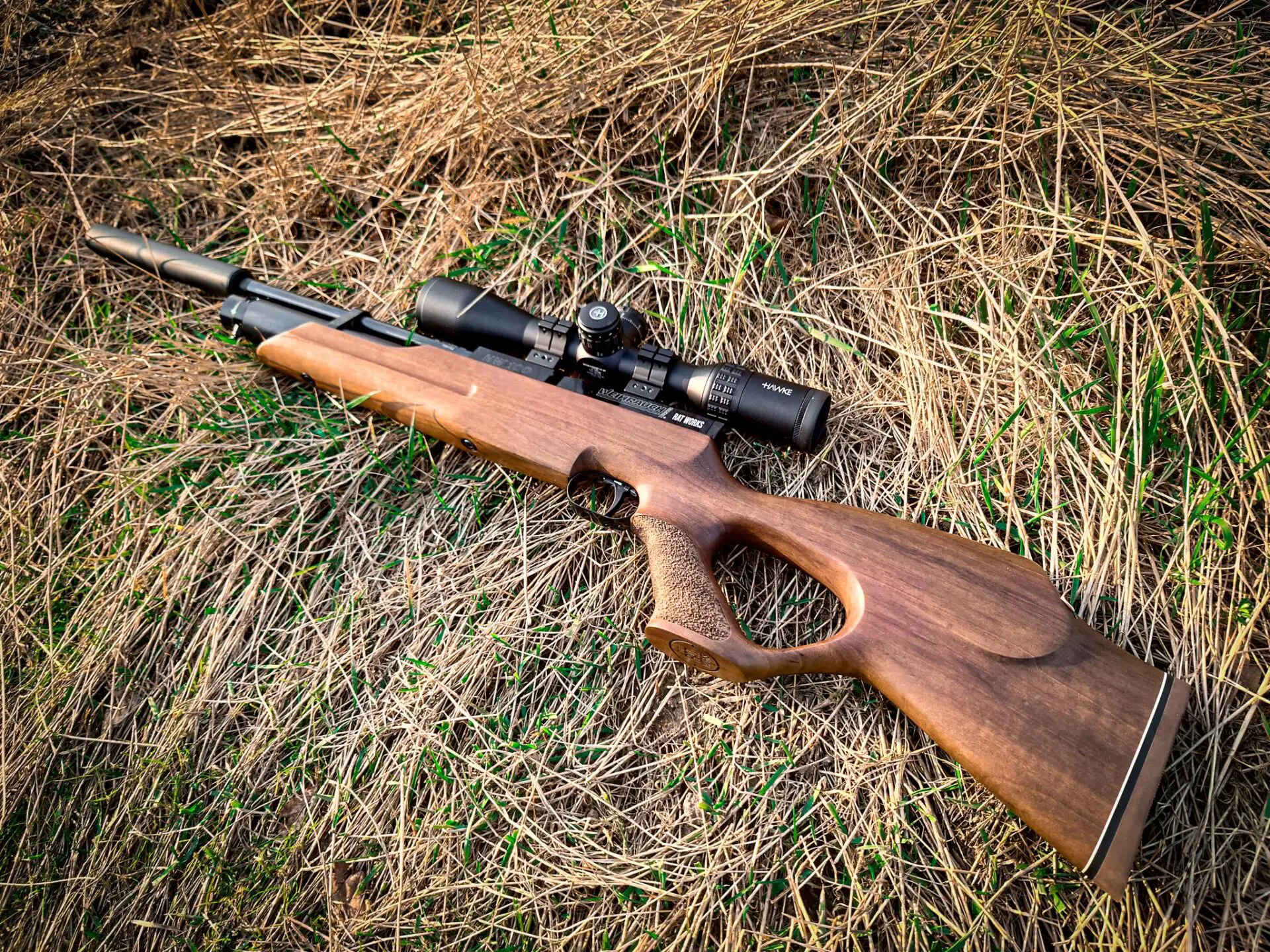 weihrauch hw 100 kt thumbhole rat works edition1 What Air Rifles Are Made in Germany?