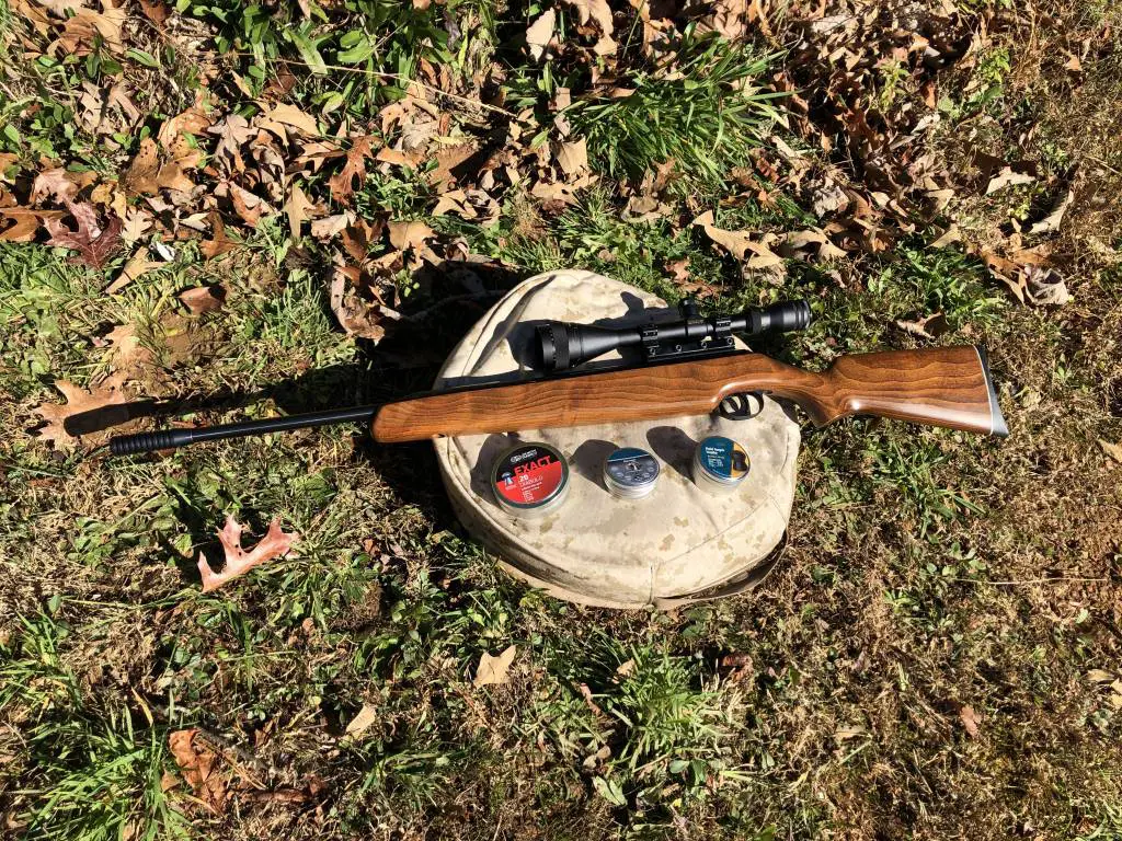 481 Best Spring Air Rifles - Top 7 Springers for the money (Reviews & Buying Guides 2022)