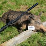 OL_Texan_5-scaled-1
