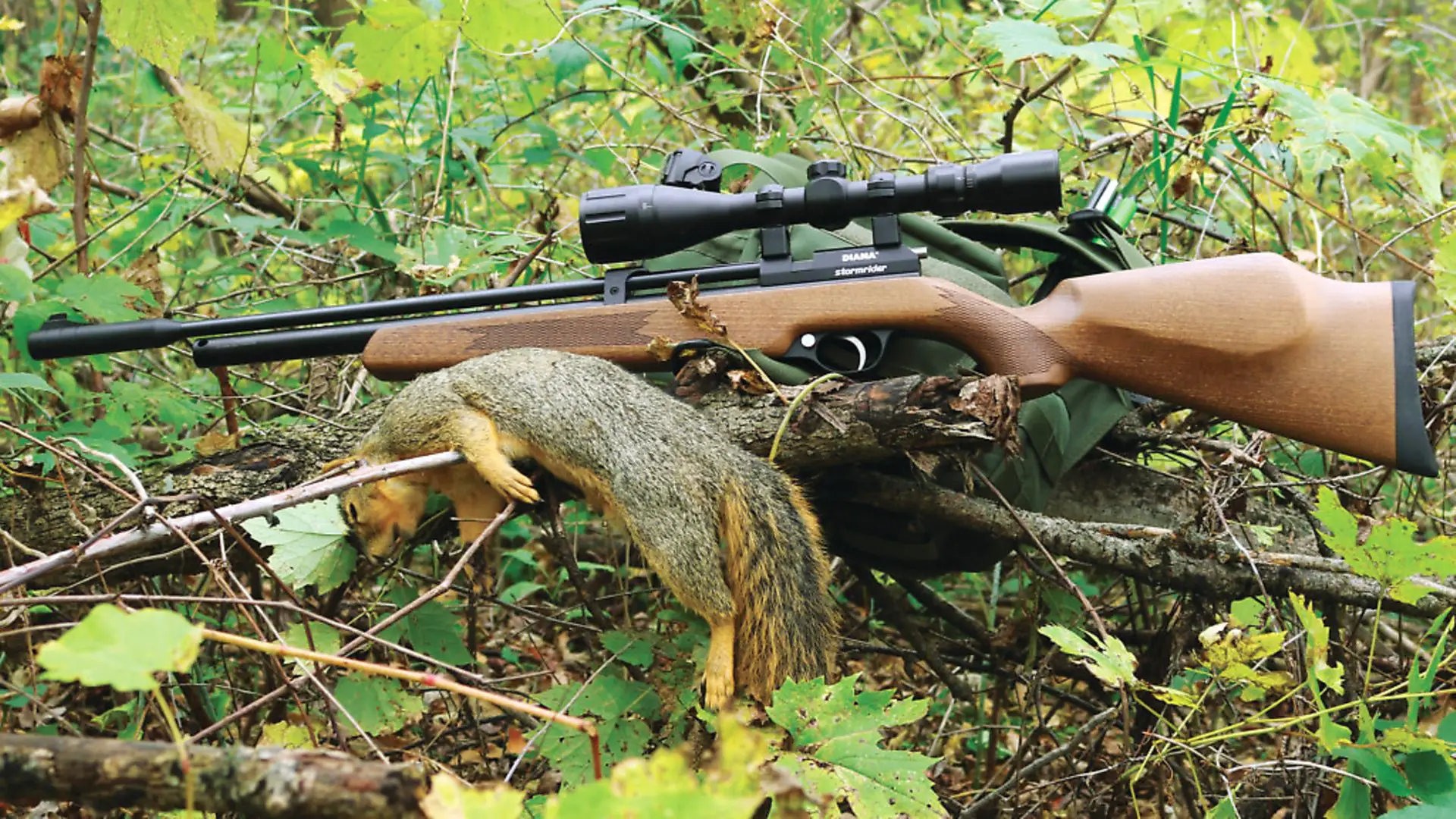 s11 Best PCP air rifles - 11 of the best PCP guns you can buy right now (Reviews and Buying Guide 2023)