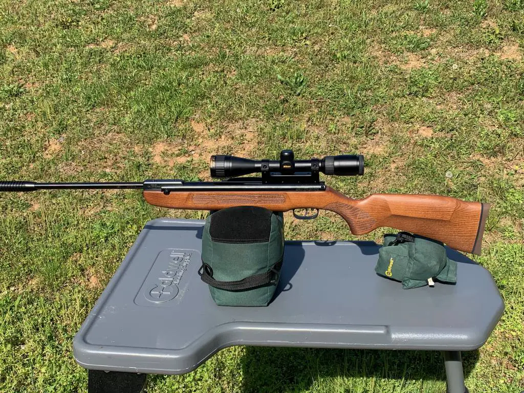 502 Best Air Rifles for Pest Control - Top 10 effective guns for the money (Reviews and Buying Guide 2023)