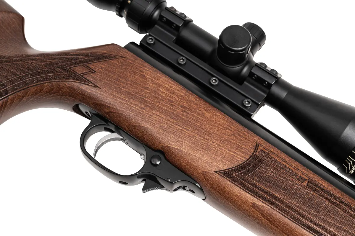 Top 10 Most Powerful Break Barrels Air Rifles 