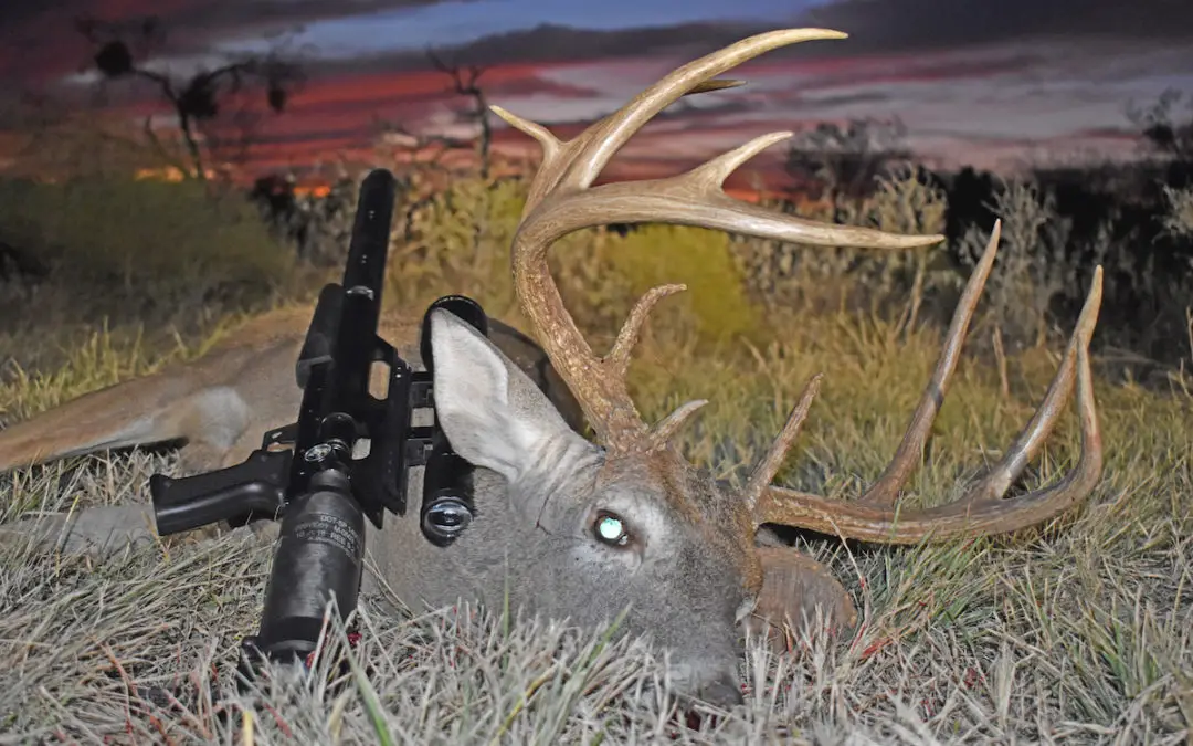 The Bone Collector: Best Air Rifles For Deer Hunting (Reviews & Buying Guide 2023) 13 d1 The Bone Collector: Best Air Rifles For Deer Hunting (Reviews & Buying Guide 2023)