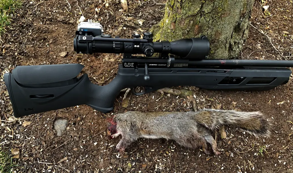 g4 Garden Rescue: Best Air Rifles For Squirrels (Reviews & Buying Guide 2023)