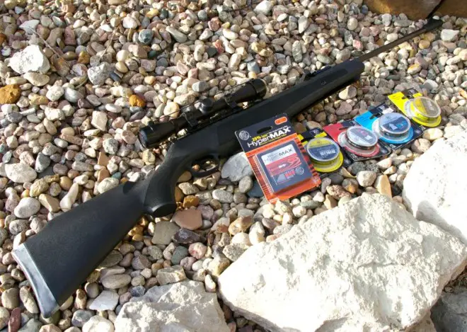 r1 Garden Rescue: Best Air Rifles For Squirrels (Reviews & Buying Guide 2023)