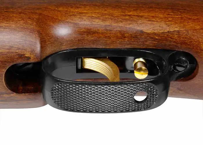 r2 Best Break Barrel Air Rifle That Hits Like A Champ (Reviews and Buying Guide 2023)
