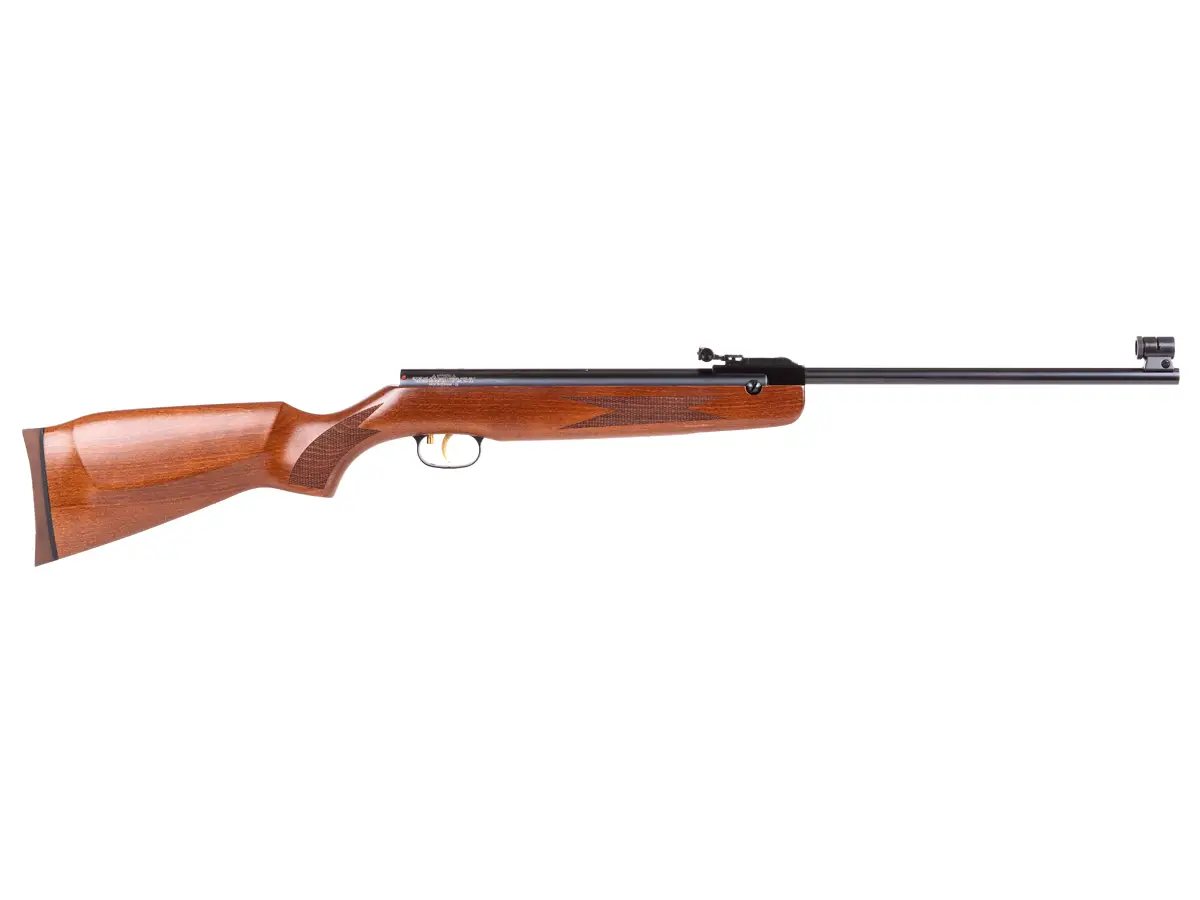 r1 Best Break Barrel Air Rifle That Hits Like A Champ (Reviews and Buying Guide 2023)