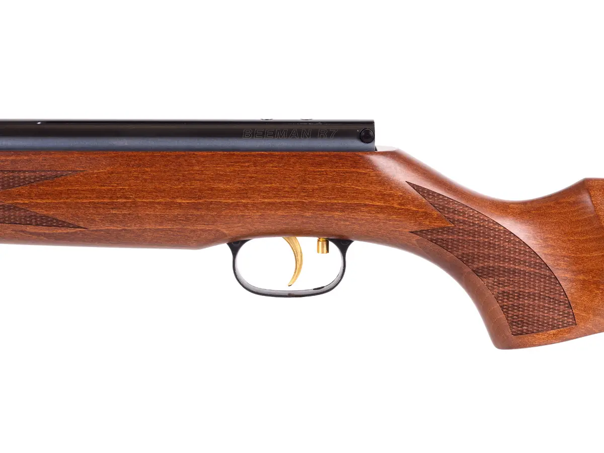 r2 1 Best Break Barrel Air Rifle That Hits Like A Champ (Reviews and Buying Guide 2023)