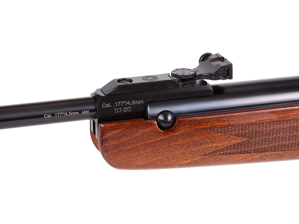 r3 Best Break Barrel Air Rifle That Hits Like A Champ (Reviews and Buying Guide 2023)