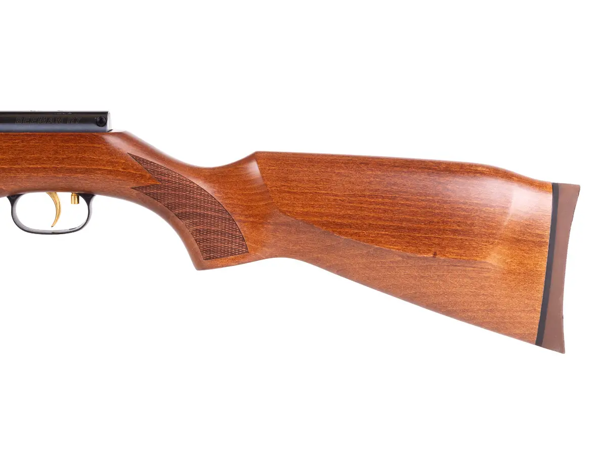 r4 Best Break Barrel Air Rifle That Hits Like A Champ (Reviews and Buying Guide 2023)