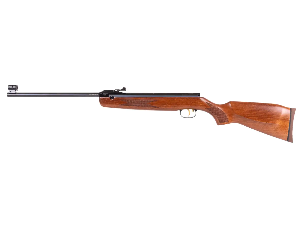 r5 Best Break Barrel Air Rifle That Hits Like A Champ (Reviews and Buying Guide 2023)