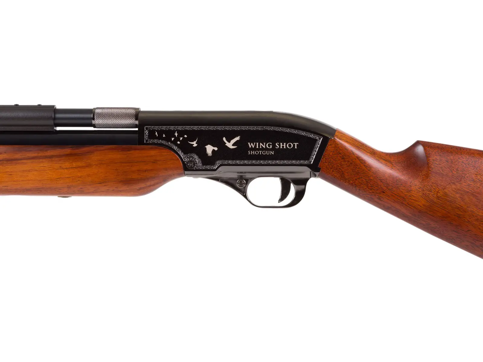 s12 Best .50 Caliber Air Rifles - Top 5 Hard-hitting Pellet Guns for Big Games (Reviews and Buying Guide 2023)