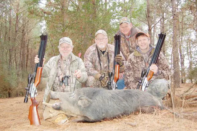 hog hunting with air rifles
