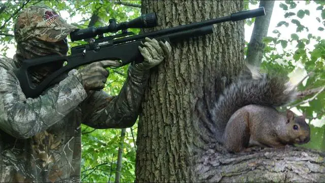 where to shoot a squirrel with an air rifle