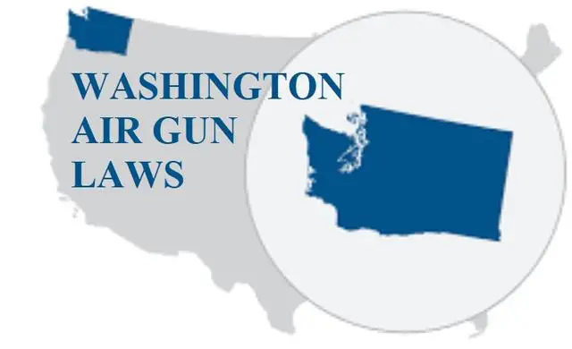 Can a felon own an air rifle in washington state?