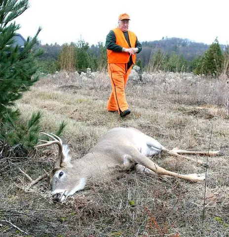 The Price Tag of Pursuing Deer on Wisconsin