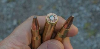 Choosing the Perfect Grain for Hunting White Tail Deer with a .30-06 Bullet