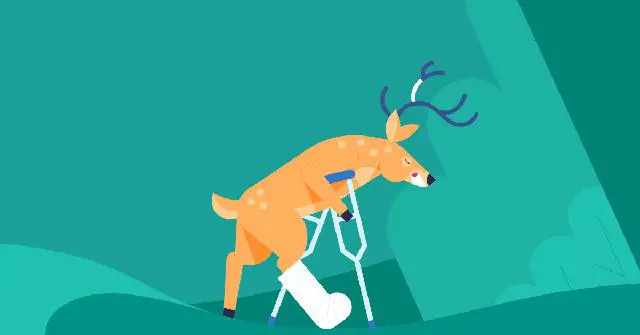 1. How to Handle a Deer Collision with Minimal Car Damage