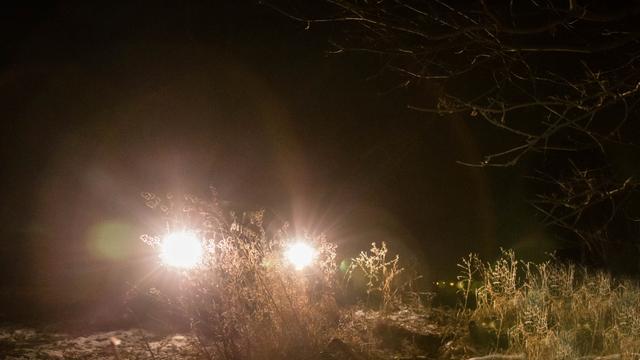 Nighttime Hunting Restrictions: Can You Shine a Light at Deer?