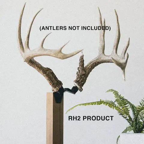 Discover the Versatile Possibilities of a Recently Found Deer Antler